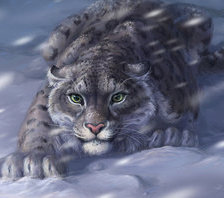 Схема вышивки «снежный кот»