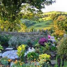 Схема вышивки «Шотландия»