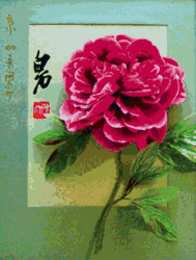 пион - поин, китай, цветок - предпросмотр