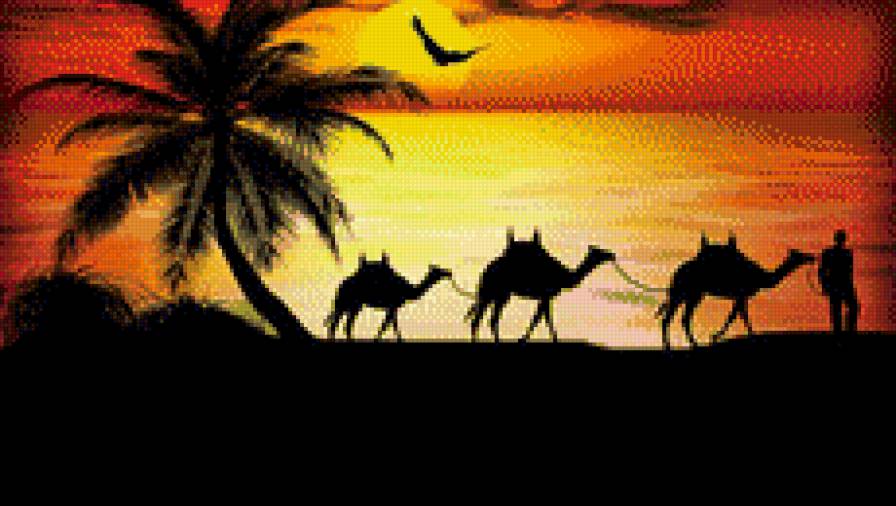 караван - верблюд, верблюды, закат, животные, силует, пейзаж, караван - предпросмотр