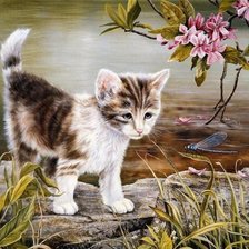 Схема вышивки «Любопытство 2»