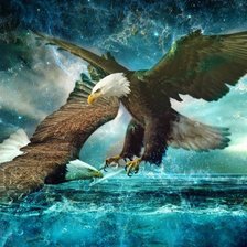 Схема вышивки «Орлы»