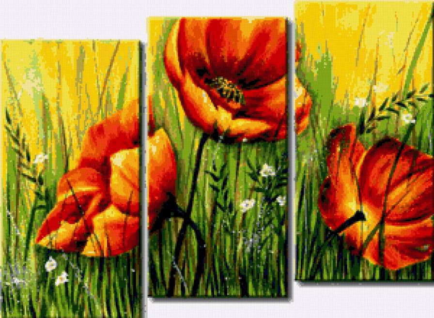 Маки луговые - триптих - предпросмотр