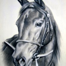 Схема вышивки «№700465»