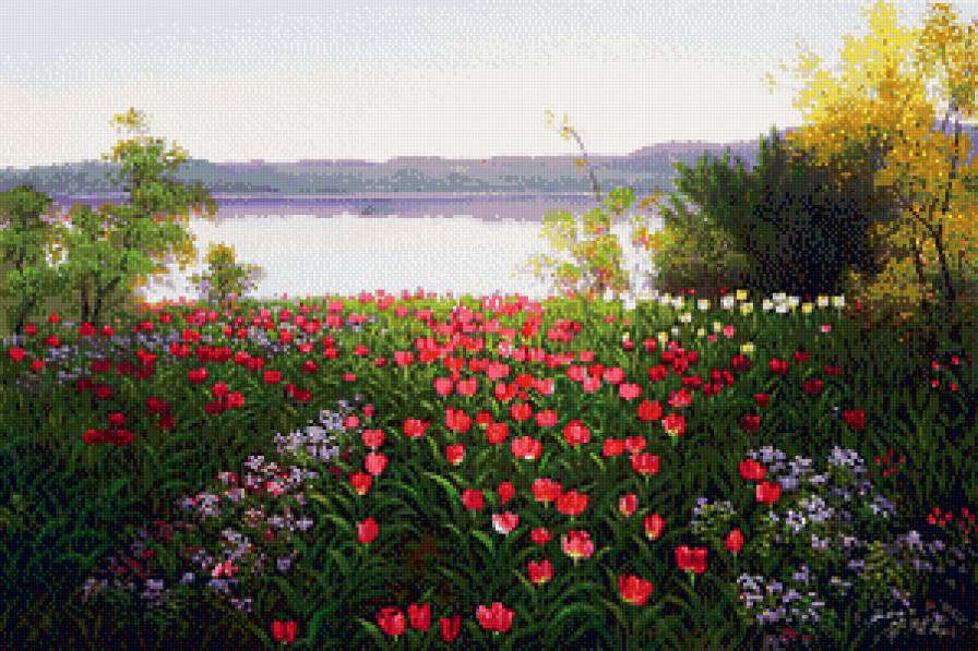 2557 - предпросмотр