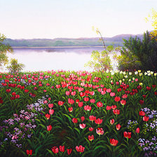 Схема вышивки «2557»