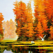 Схема вышивки «2558»