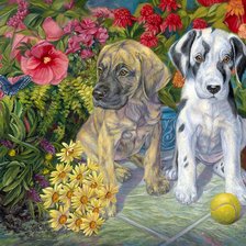 Схема вышивки «2567»