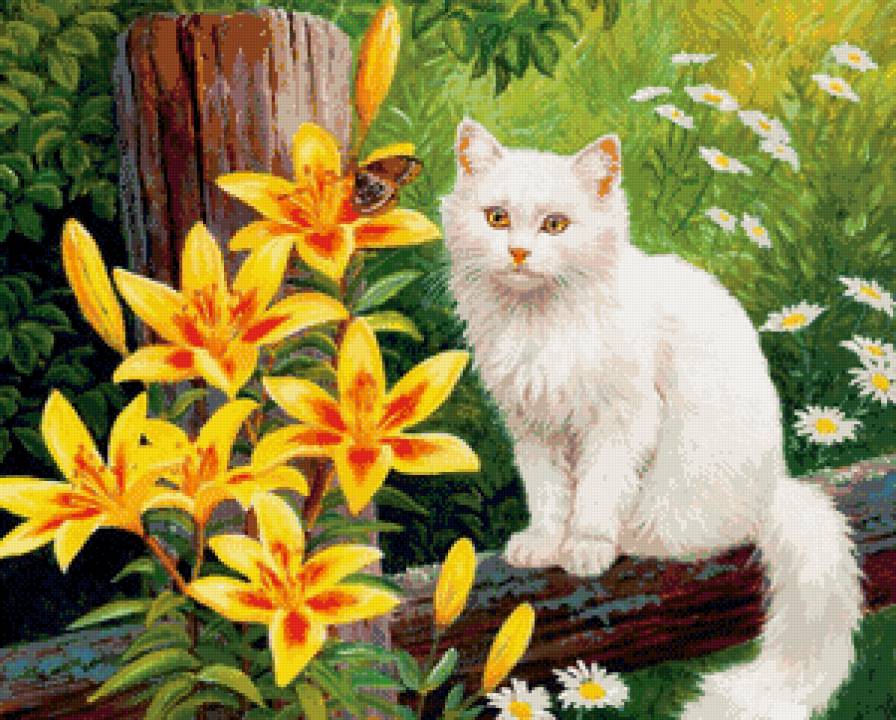 белый кот - пано, цветы, картина, кошки - предпросмотр