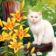 Схема вышивки «белый кот»