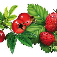 Схема вышивки «Шиповник и земляника»