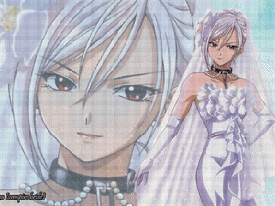 Розарио + Вампир - предпросмотр