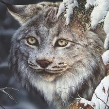 Схема вышивки «Рысь»