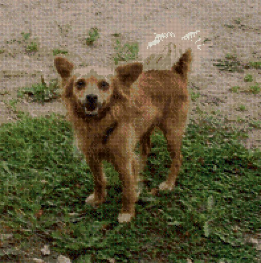 Фердинанд - предпросмотр