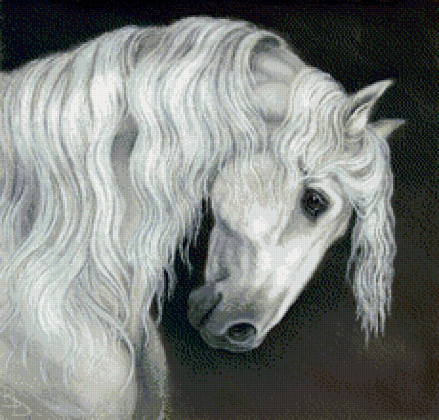 лошадка - животные, лошади, лошадка, лошадь, конь, кони - предпросмотр