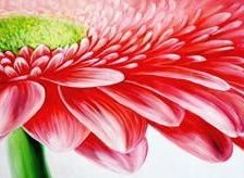 Схема вышивки «№701051»