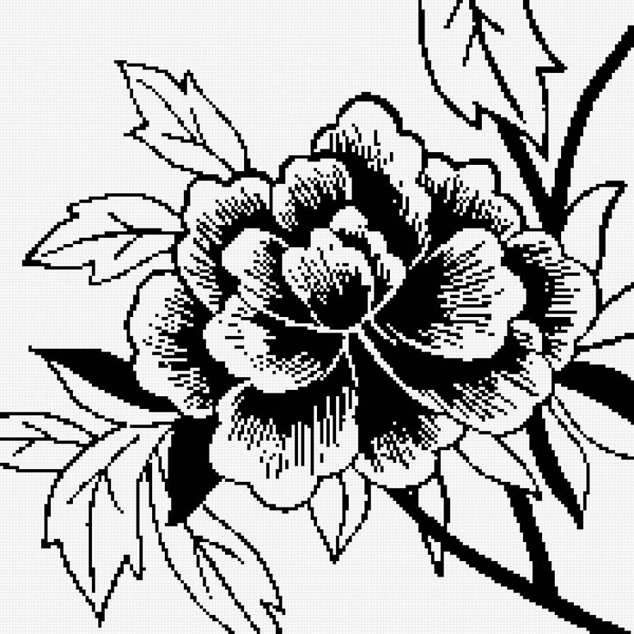 цветок для подушки - цветок, подушка, цветы, монохром - предпросмотр