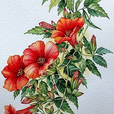 Схема вышивки «Въюнок»