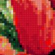 Предпросмотр схемы вышивки «Маки» (№701133)
