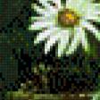 Предпросмотр схемы вышивки «Акварель 26» (№701303)