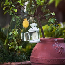 Схема вышивки «№701355»