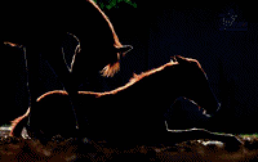 Спокойный вечер - вечер, тень, свет, лошадь, закат - предпросмотр