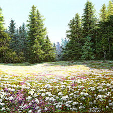 Схема вышивки «Лесная поляна»