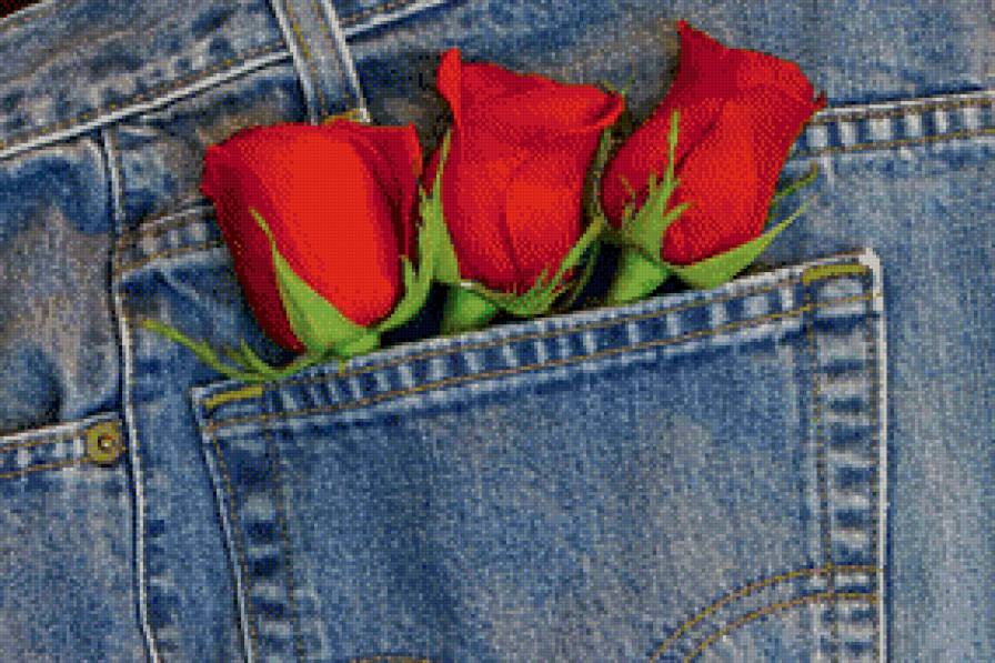Розы в джинсе - джинсы, розы, цветы - предпросмотр
