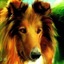 Схема вышивки «колли»