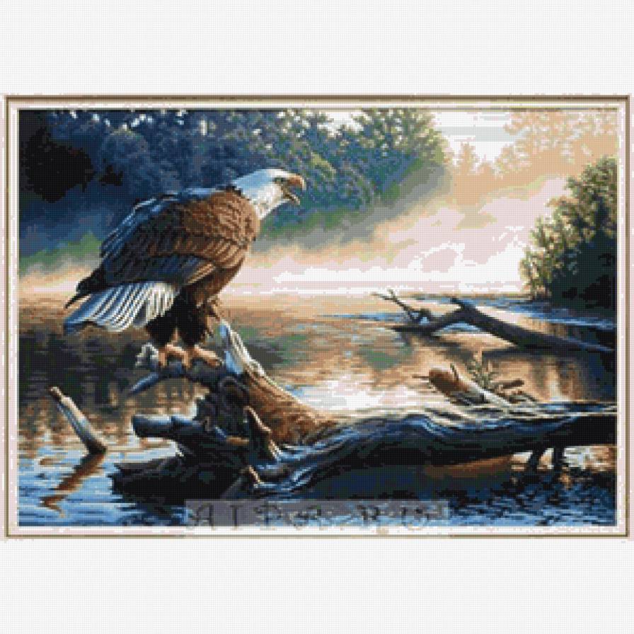 гордая птица - орел, птицы, природа - предпросмотр