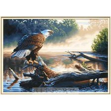 Схема вышивки «гордая птица»