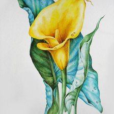 Схема вышивки «цветы»