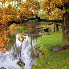 Схема вышивки «Природа»