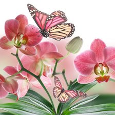 Схема вышивки «№701641»