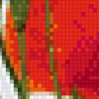 Предпросмотр схемы вышивки «маки» (№701931)