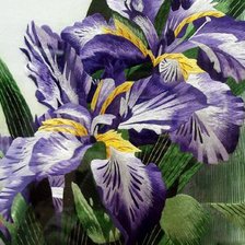 Схема вышивки «ирисы»