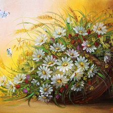 полевые цветы