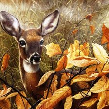 Схема вышивки «олень»