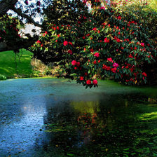 Схема вышивки «пейзаж»