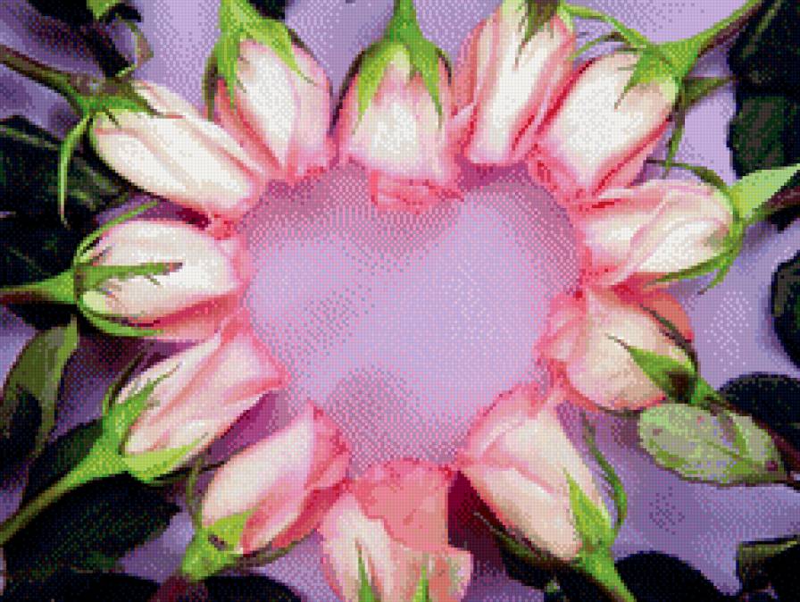 сердце - предпросмотр