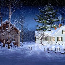 Зимний дом