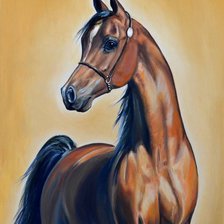 Схема вышивки «Красавица.»