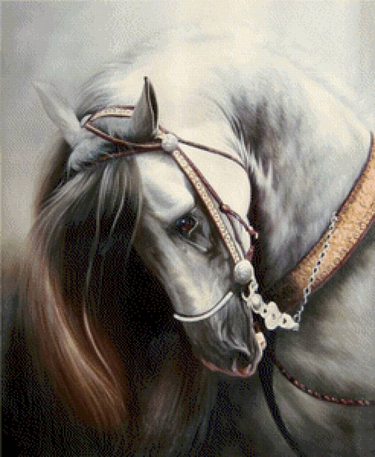 Туман - животные, кони, лошади - предпросмотр