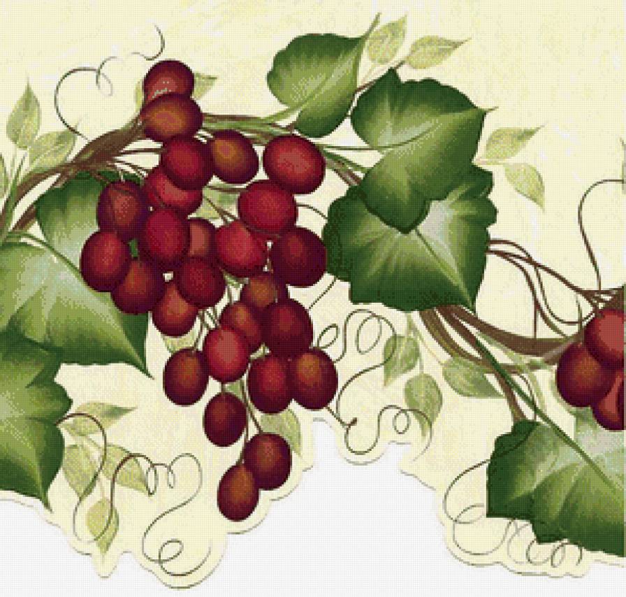 виноград - виноград, фрукты - предпросмотр