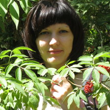 Схема вышивки «лес»