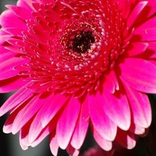 Схема вышивки «№702337»