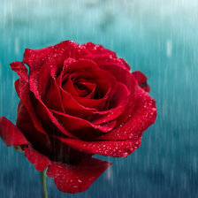 Схема вышивки «№702338»