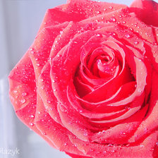 Схема вышивки «№702339»