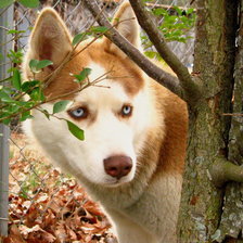 Схема вышивки «№702345»