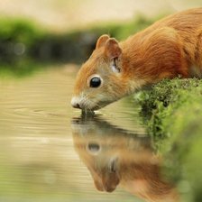 Схема вышивки «№702368»